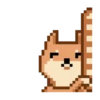 Shiba DOG pixel Mov 5