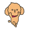 Tory the poodle(Christmas)MOV 6