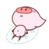Piggy Pink 5