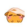 Ponkan the orange cat MOV 5