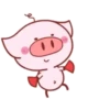 Piggy Pink 6
