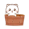 ༺Wen❦the small meow༻ 7