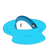 Blue shark 6