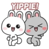 White & Gray Bunnies 7