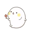 Lovely Seal Hibo 7