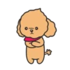 Tory the poodle(Christmas)MOV 9
