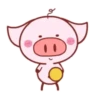 Piggy Pink 7