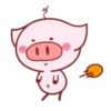 Piggy Pink 8