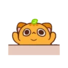 Ponkan the orange cat MOV 7