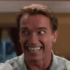 Arnold Schwarzenegger 9