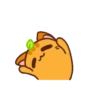 Ponkan the orange cat MOV 8