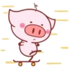 Piggy Pink 9