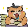 Gato sumo 6