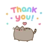 Gato pusheen 8