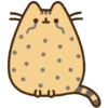 Gato pusheen 9
