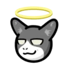 CAT EXPRESSIONS Mov 8