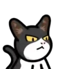 CAT EXPRESSIONS Mov 9