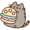 Gato pusheen 10