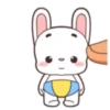 Coelhinho 9