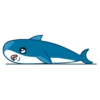 Blue shark 11