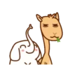 animales cute 11