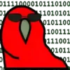 The animated code 15