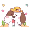 perrito vaquero 9