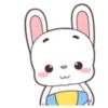 Coelhinho 11