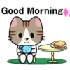 Tiny cats 10