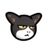CAT EXPRESSIONS Mov 10