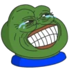 🐸LA RANA PEPE4🐸 15