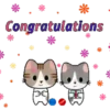 Tiny cats 13