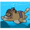Gato sumo 11