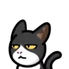 CAT EXPRESSIONS Mov 13