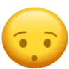 Os emojies 14