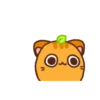 Ponkan the orange cat MOV 11
