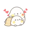 Lovely Seal Hibo 11