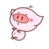 Piggy Pink 13