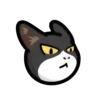 CAT EXPRESSIONS Mov 14