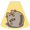 Gato pusheen 15