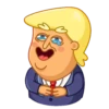 Trump 13