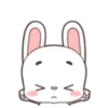 Coelhinho 13