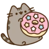 Gato pusheen 16
