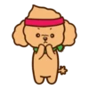 Tory the poodle(Christmas)MOV 18