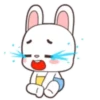 Coelhinho 15