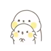 Lovely Seal Hibo 13