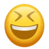 Os emojies 16