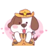 perrito vaquero 12
