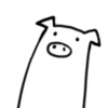 Crazy white pig 12