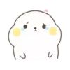 Lovely Seal Hibo 16